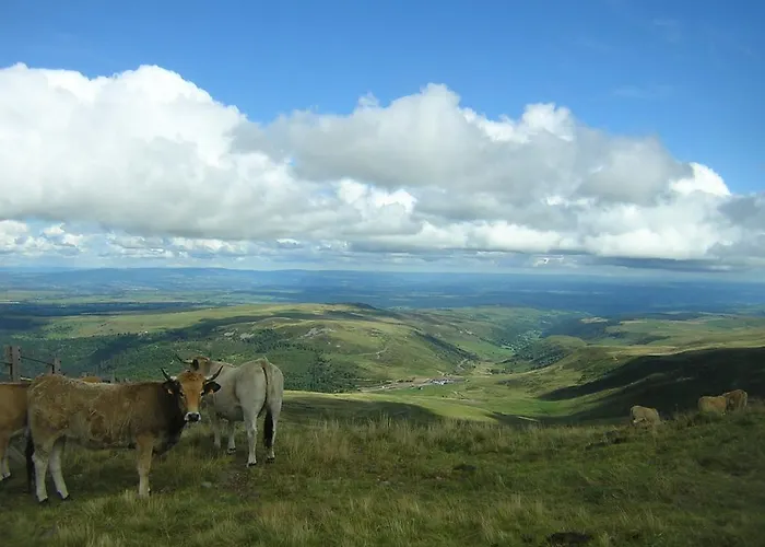 Holiday home Gite-duplex La K-bane 3 Impasse Des Jardins Piscine Et Jacuzzi A 500m