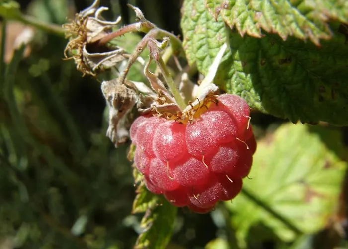 Gite-duplex La K-bane 3 Impasse Des Jardins Piscine Et Jacuzzi A 500m
